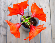 智能日志分析的DDOS攻击平台